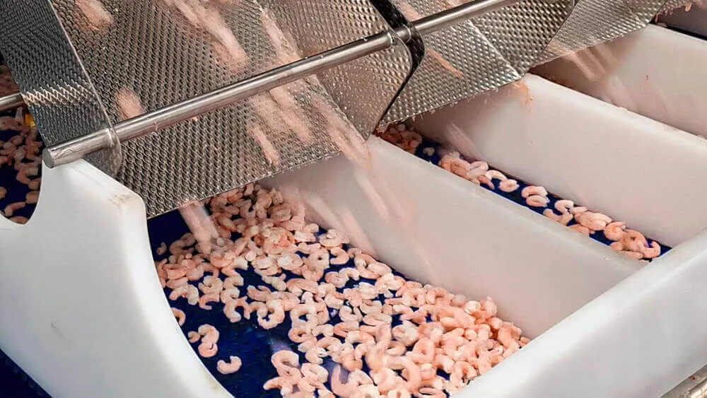 The IQF Advantage: Preserving Freshness, Quality, and Flavor